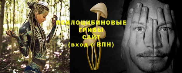 прущий лед Тольятти