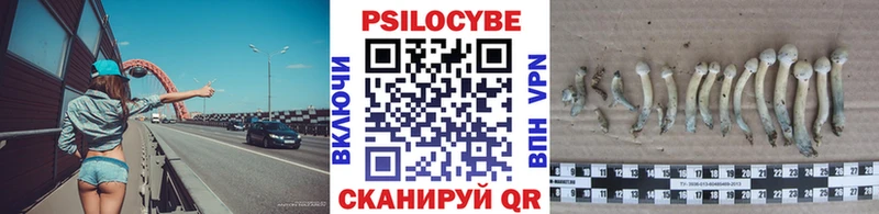 Галлюциногенные грибы мицелий Алапаевск