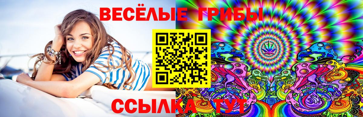 Галлюциногенные грибы Cubensis Алапаевск