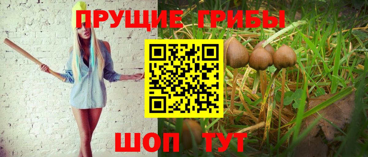 Галлюциногенные грибы прущие грибы  Вход с VPN  Алапаевск 