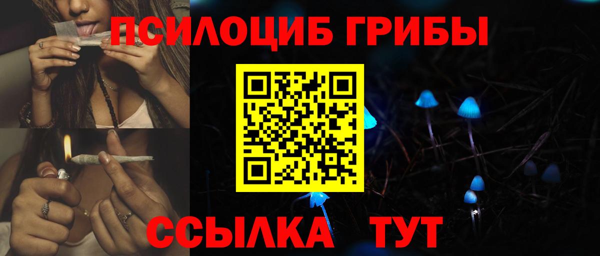 Псилоцибиновые грибы Psilocybe Алапаевск